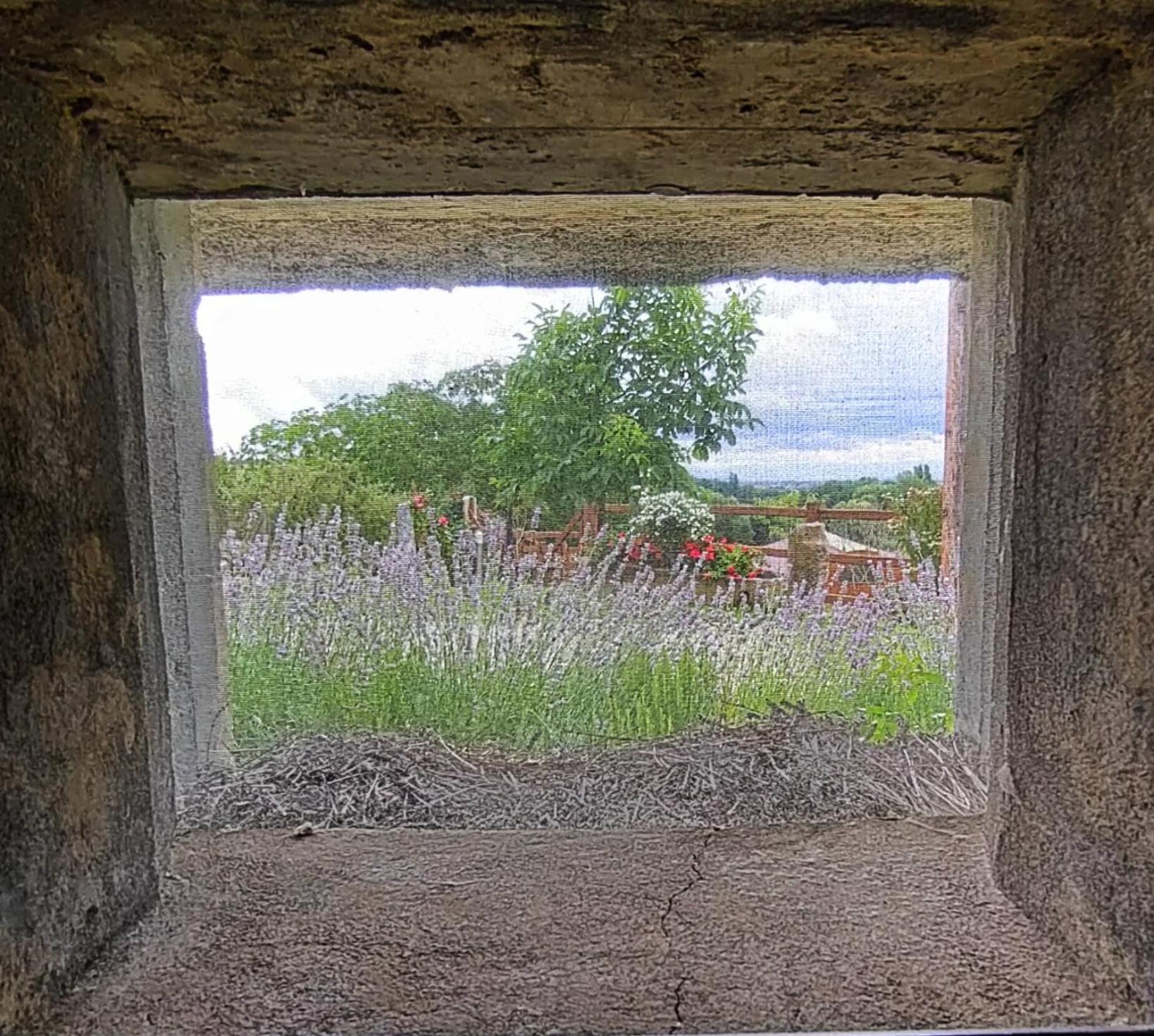 Отель Au Bunker 67 Rott Экстерьер фото